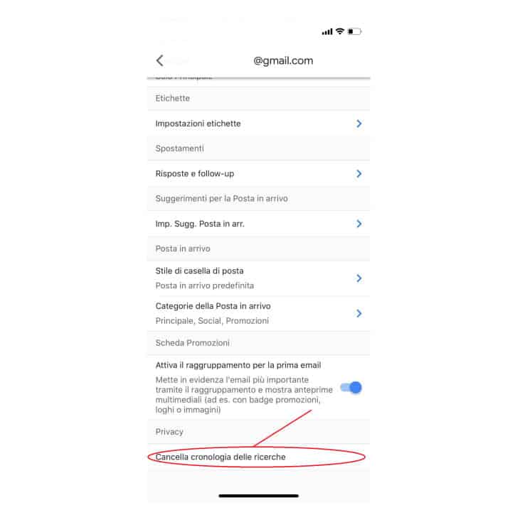 come cancellare la cronologia su iPhone Gmail
