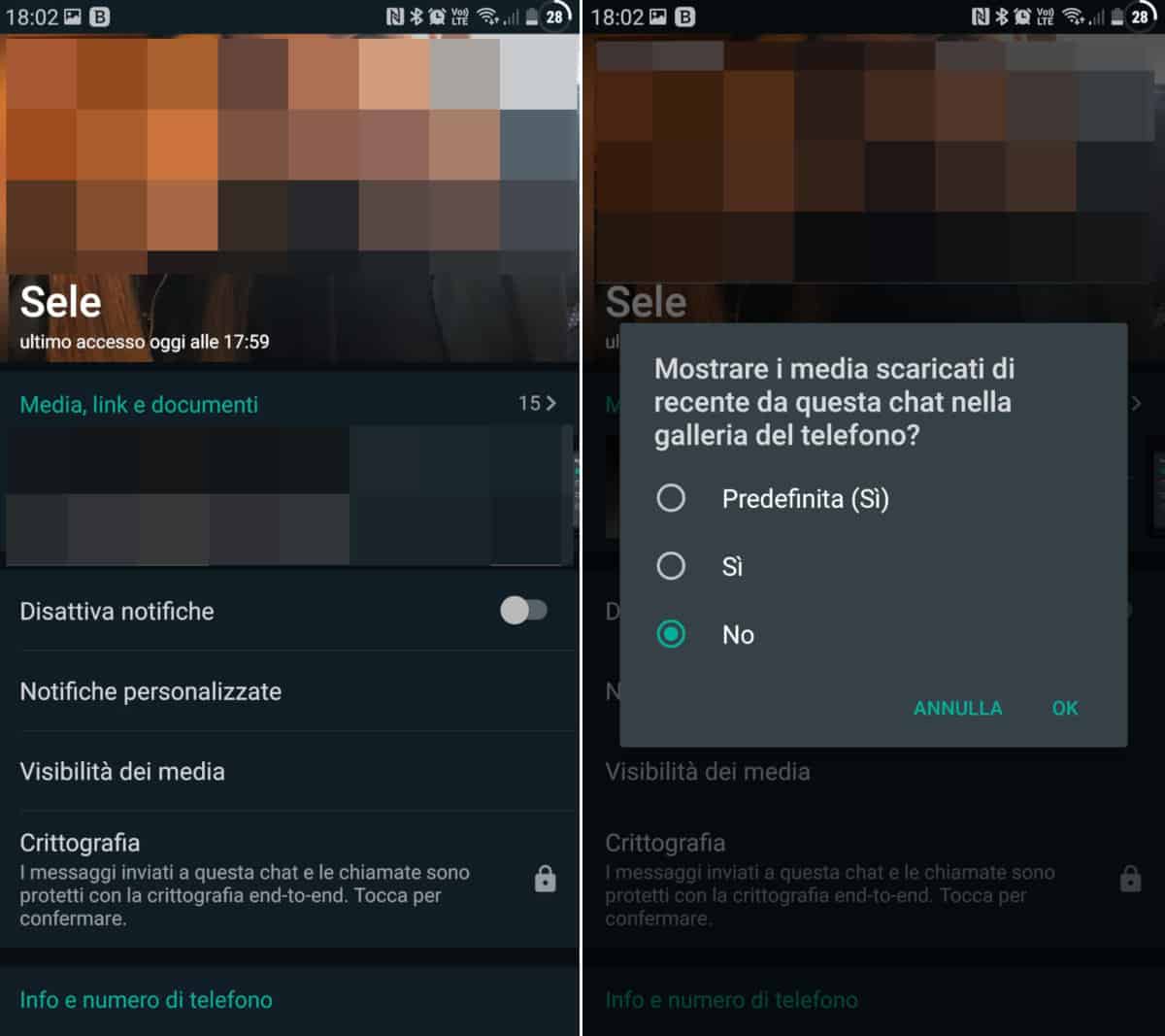 come nascondere foto e video delle chat WhatsApp singolo contatto