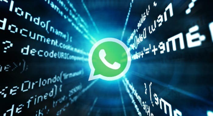 Vedere messaggi non crittografati WhatsApp