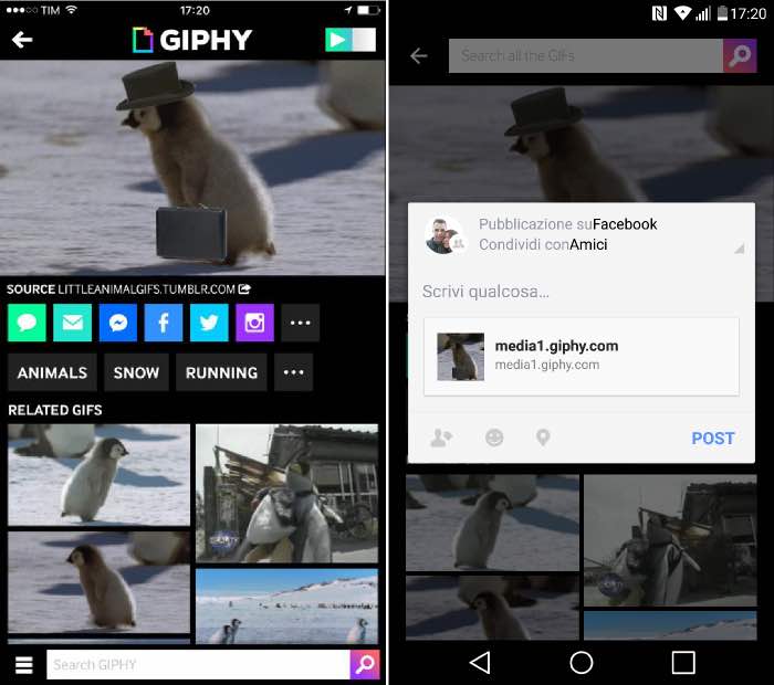 come caricare GIF su Facebook iOS e Android