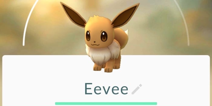 come far evolvere Eevee in Pokemon Go scheda Pokédex