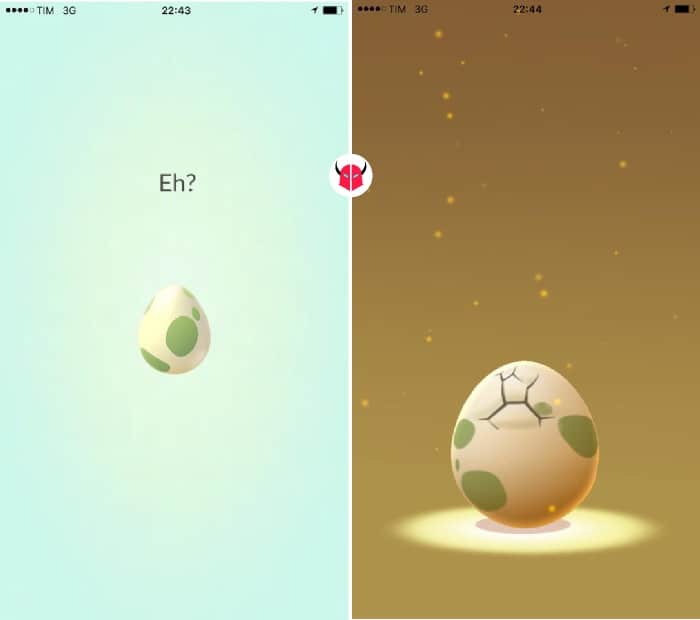 come far schiudere le uova in Pokemon Go nascita