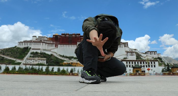 quali Pokemon potenziare in Pokemon Go