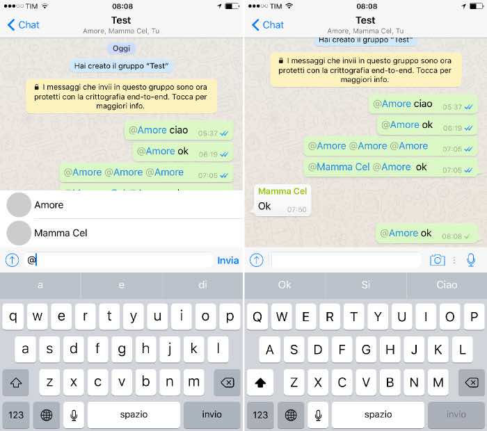 come taggare contatti WhatsApp con iPhone