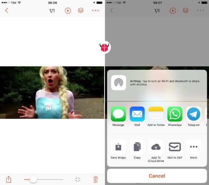 come salvare GIF su iPhone visualizzazione con GIF Viewer