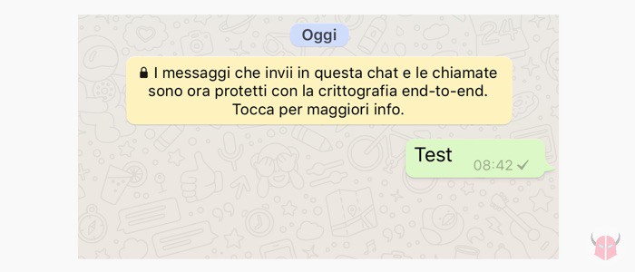 come vedere se ti hanno bloccato su WhatsApp una spunta grigia