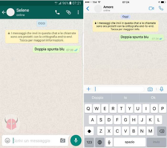 cosa significano le due v su WhatsApp doppia spunta blu