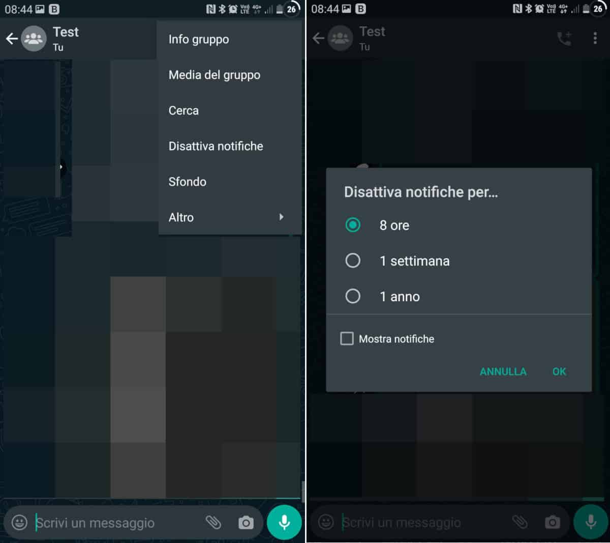 come non farsi aggiungere ai gruppi WhatsApp silenzioso