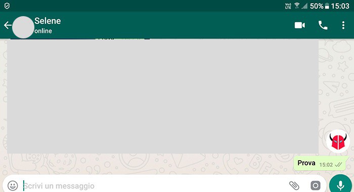 come vedere se un messaggio WhatsApp è stato letto scritta online