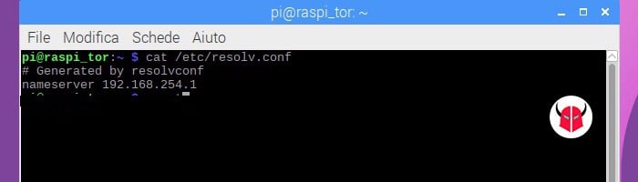 come sapere quali DNS sto usando Linux Raspberry Pi