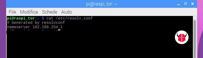 come sapere quali DNS sto usando Linux Raspberry Pi