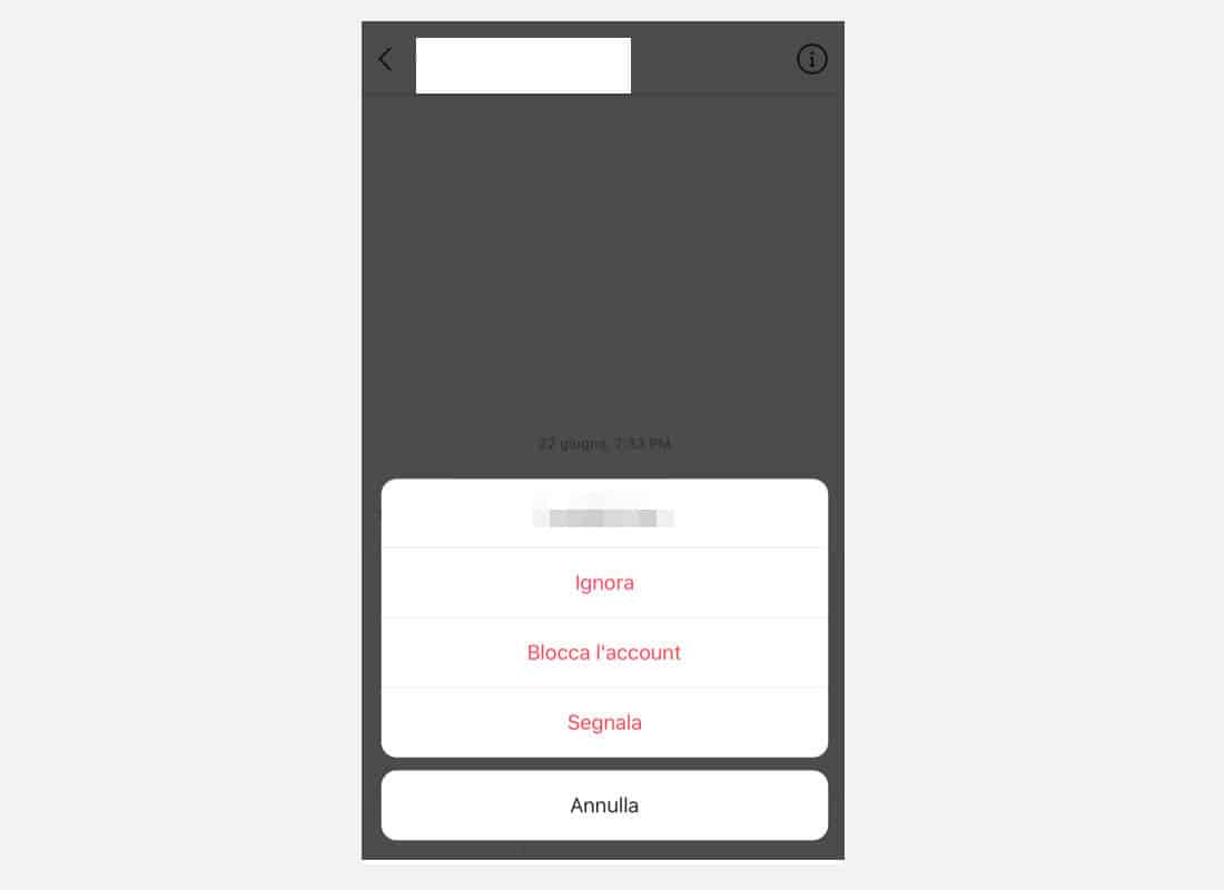 richieste di messaggi Instagram opzioni Blocca Segnala Ignora