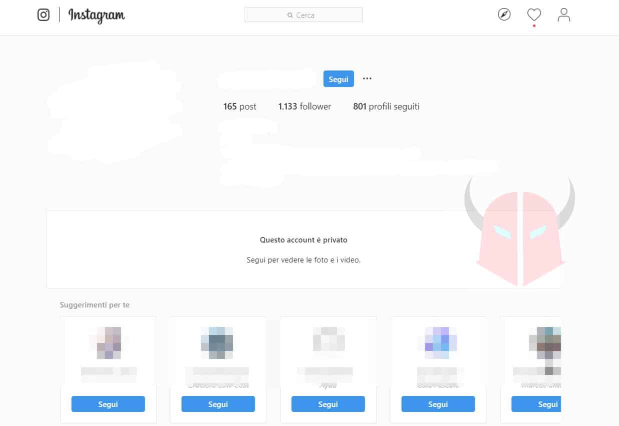 come spiare Instagram tipologie di profilo