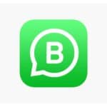 come funziona WhatsApp Business