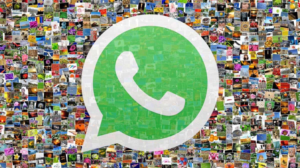 immagini per WhatsApp