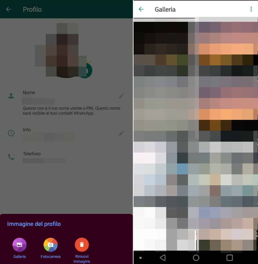 immagini per WhatsApp opzioni per lo sfondo