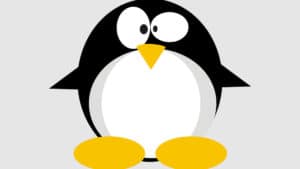 miglior distro Linux immagine Tux