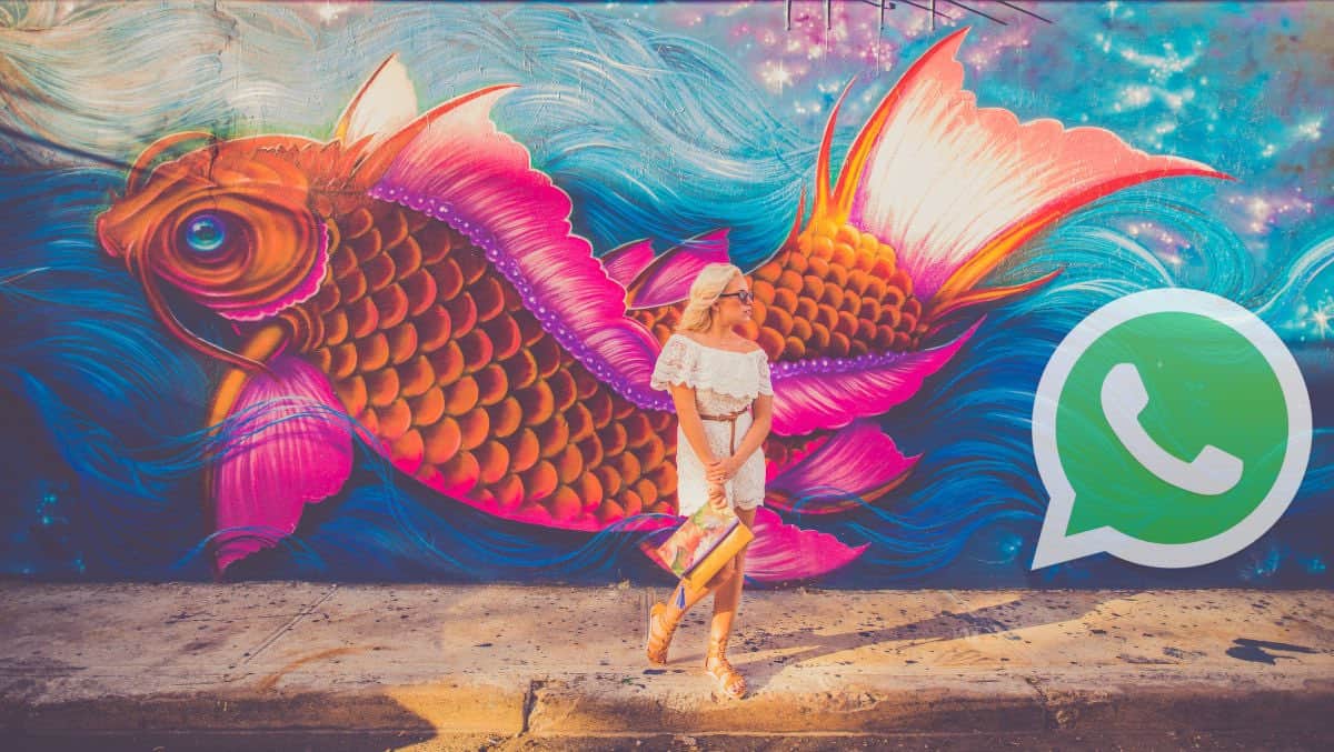 segnala come spam su WhatsApp illustrazione phishing