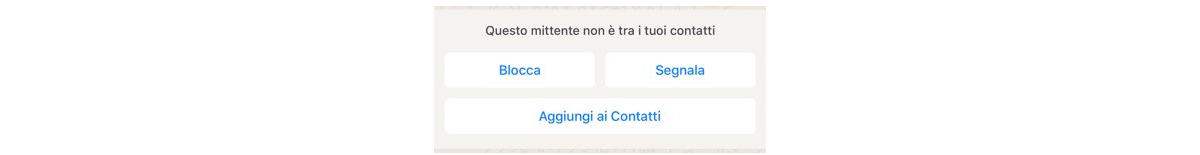 segnala come spam su WhatsApp opzione che appare in chat