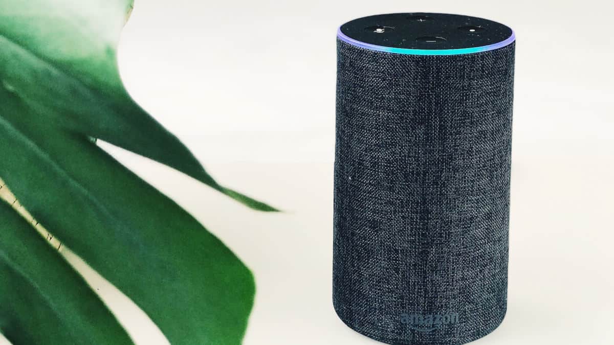 Come collegare Alexa al WiFi WordSmart.it