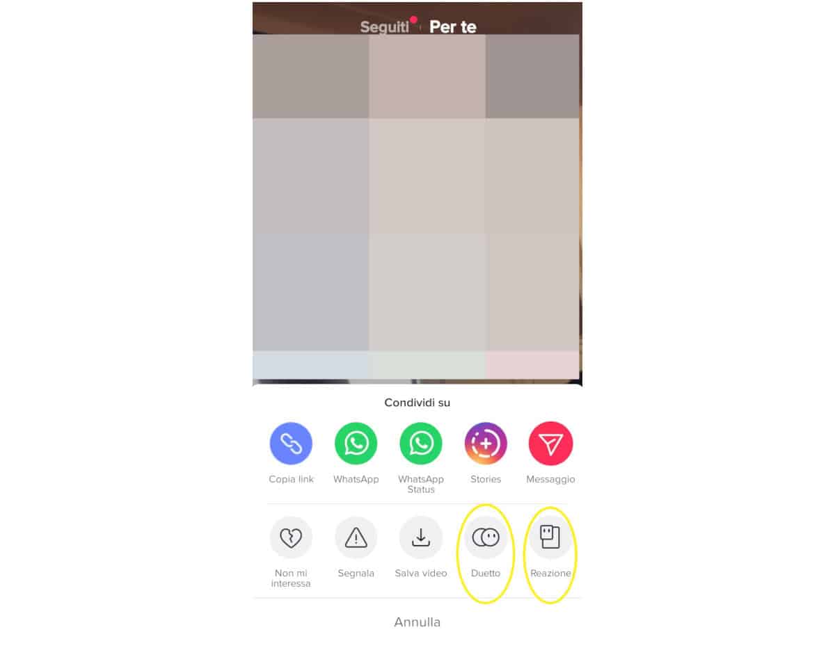 come usare TikTok opzione Duetto e Reazione