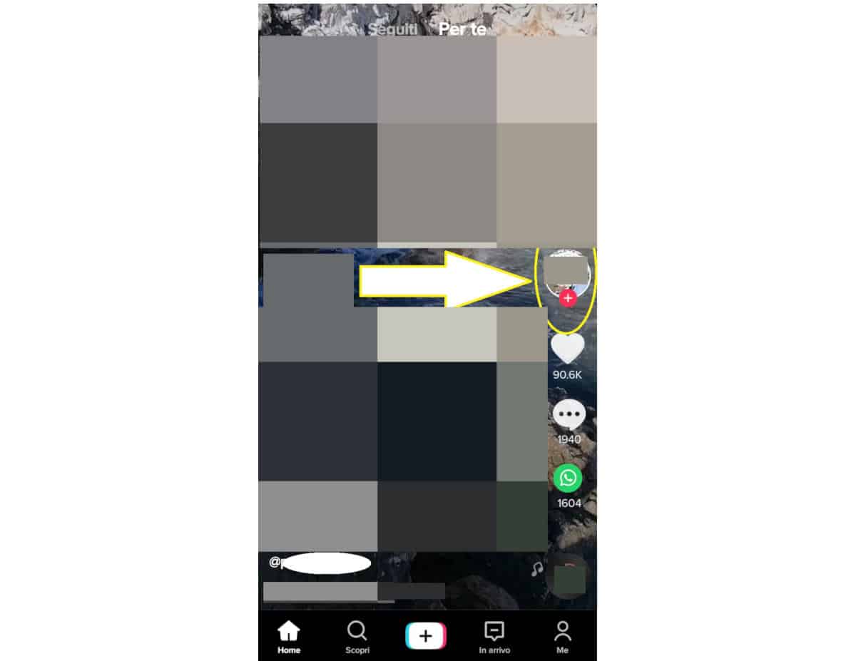 come usare TikTok opzione Segui