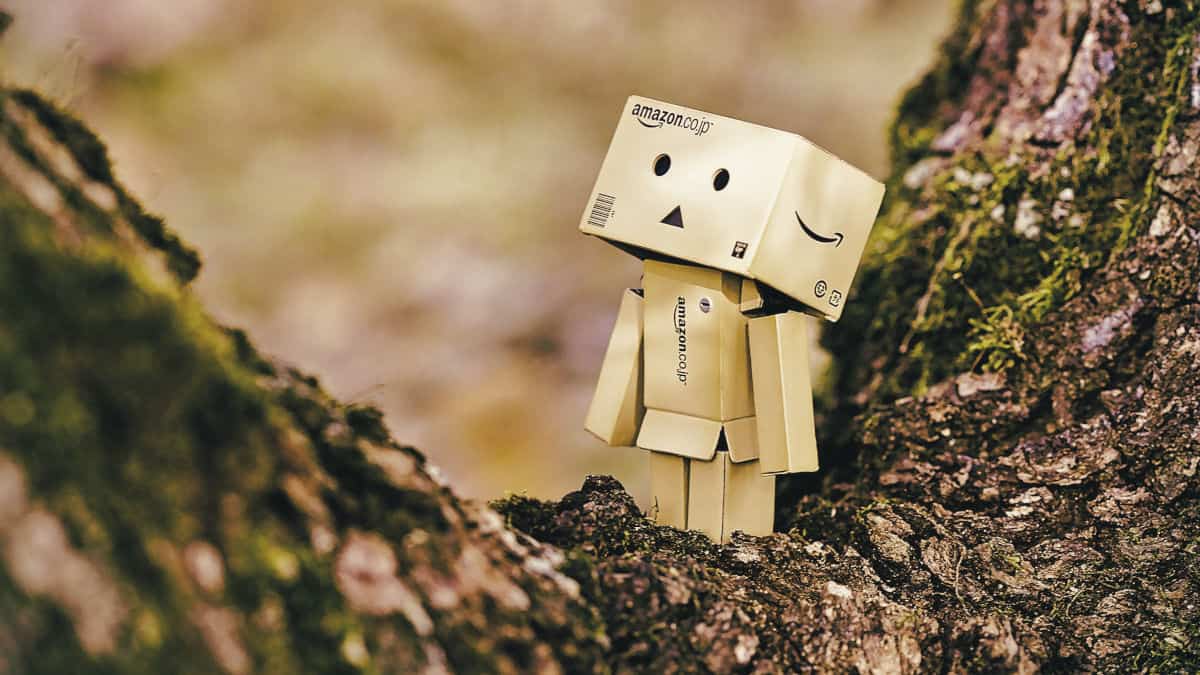 come fare la spesa su Amazon