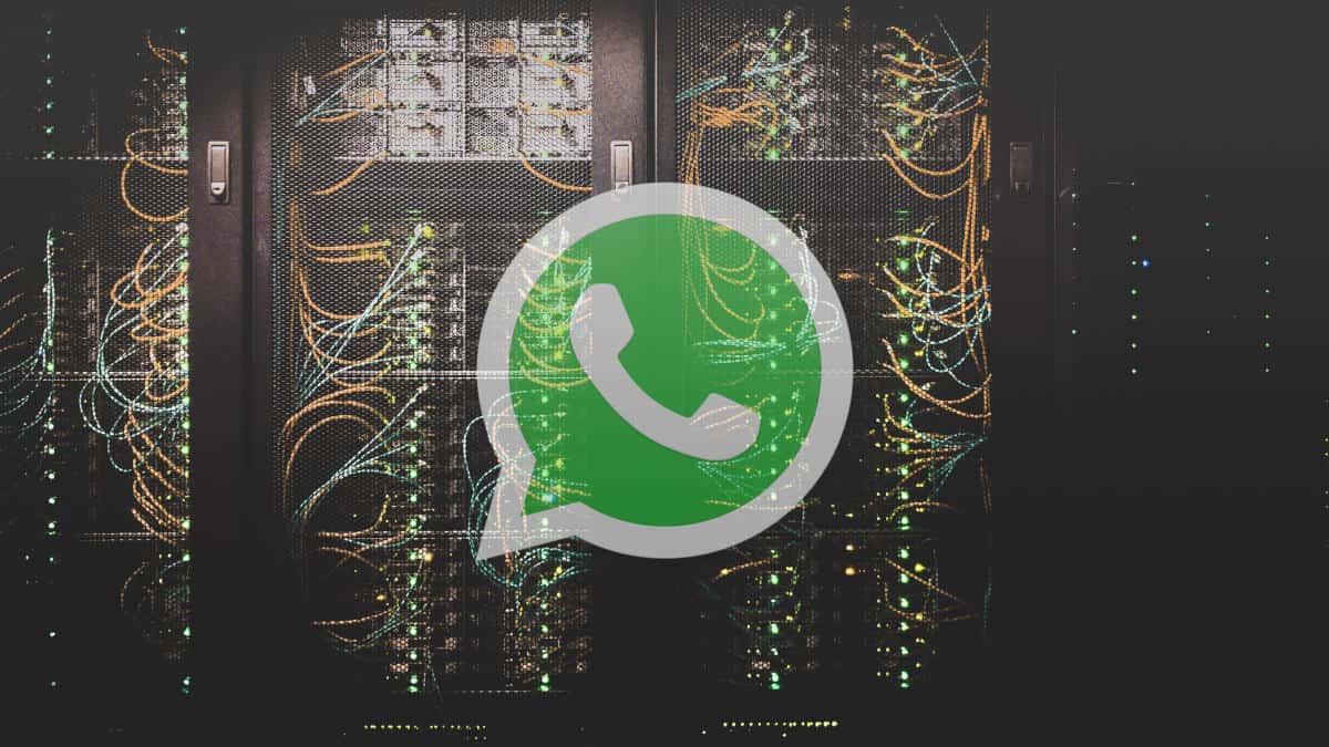 consumo di WhatsApp