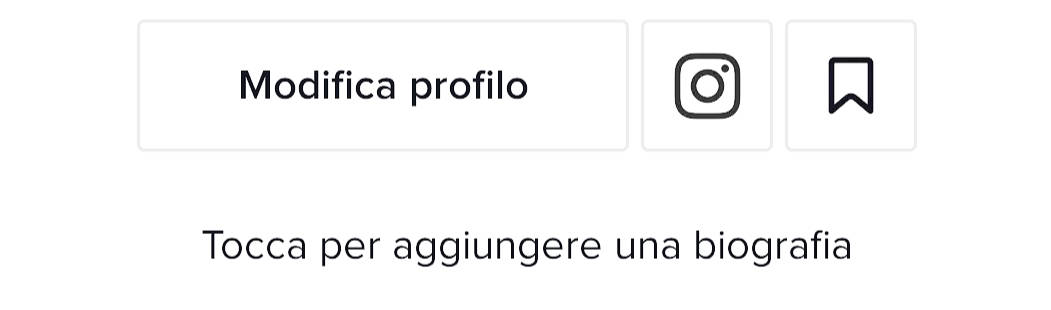 come mettere TikTok su Instagram icona collegamento con Instagram