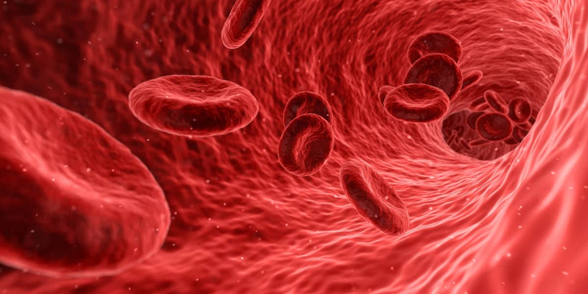 come misurare la pressione sanguigna a casa arteria flusso sanguigno