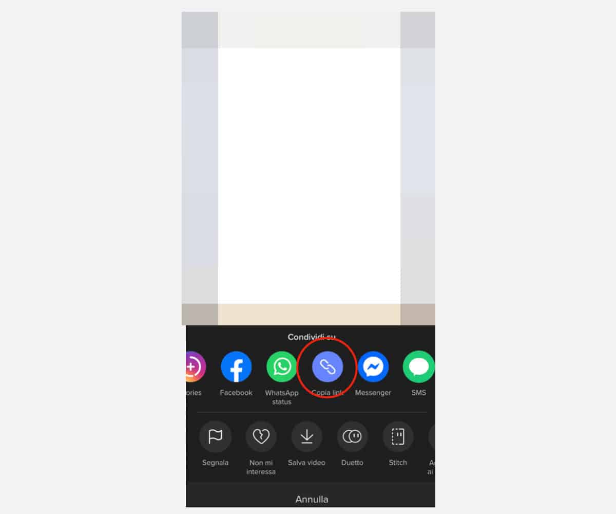 condividere un video di TikTok opzione Copia link