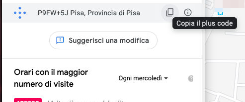 trovare le coordinate di un luogo plus code Google Maps