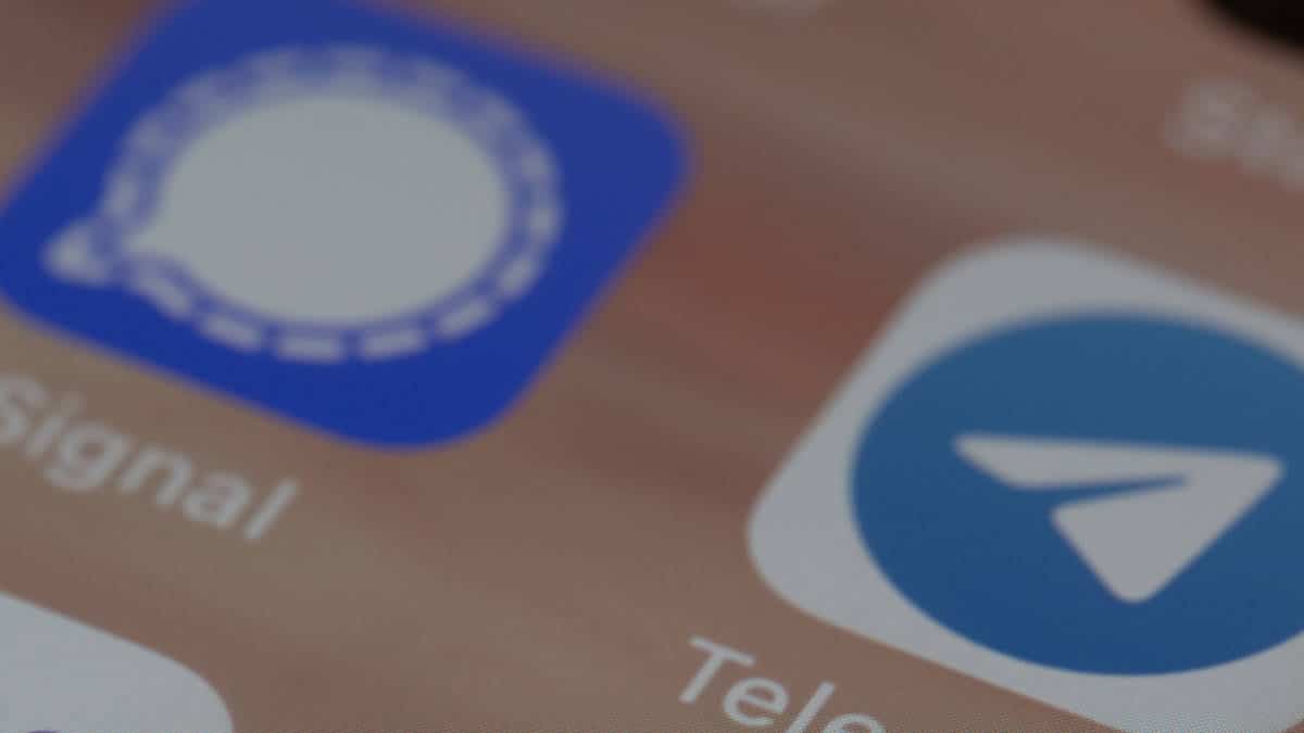 app Signal e Telegram su schermo del telefono