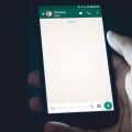 chat di WhatsApp vuota con interlocutore online