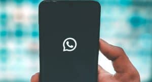 WhatsApp su sfondo nero apertura app termini uso