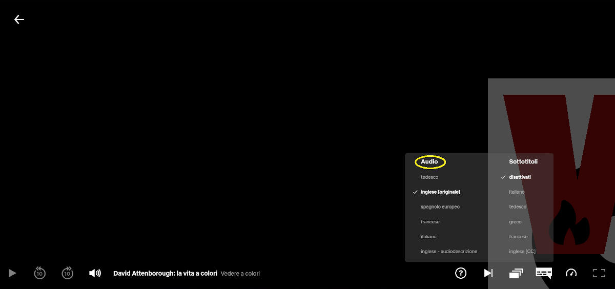 lingua sottotitoli e audio Netflix