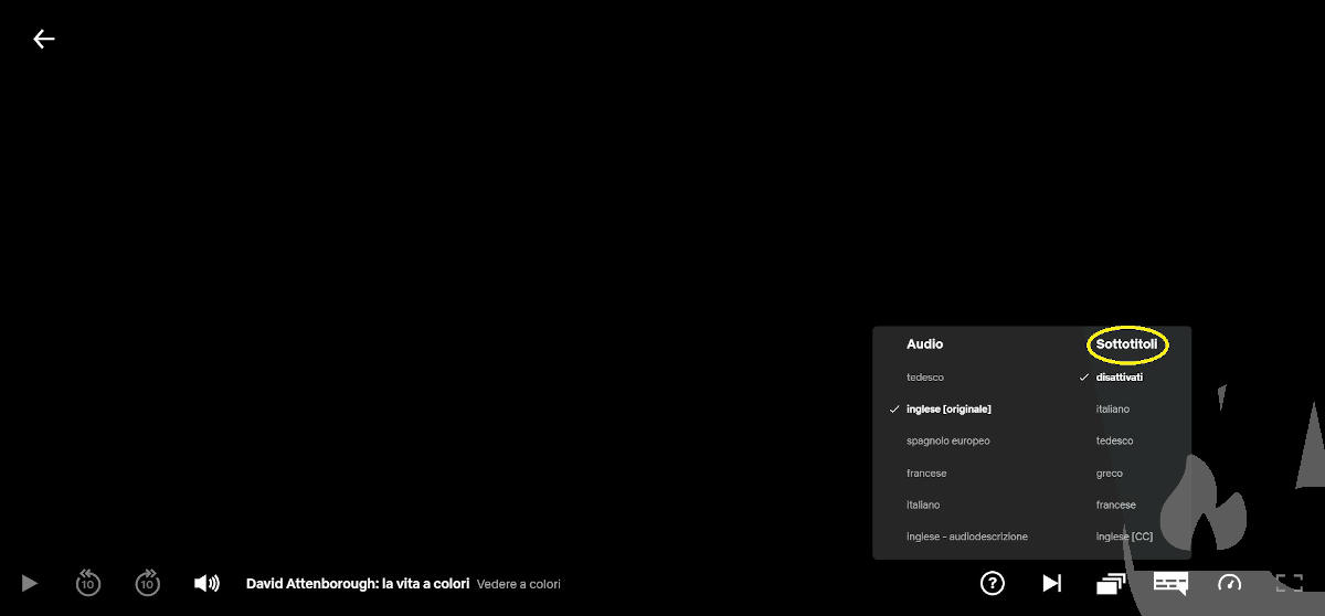 lingue disponibili sottotitoli Netflix