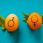 aumentare testosterone uova con segno maschio e femmina