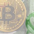 dollaro e Bitcoin WhatsApp pagare in criptovalute\