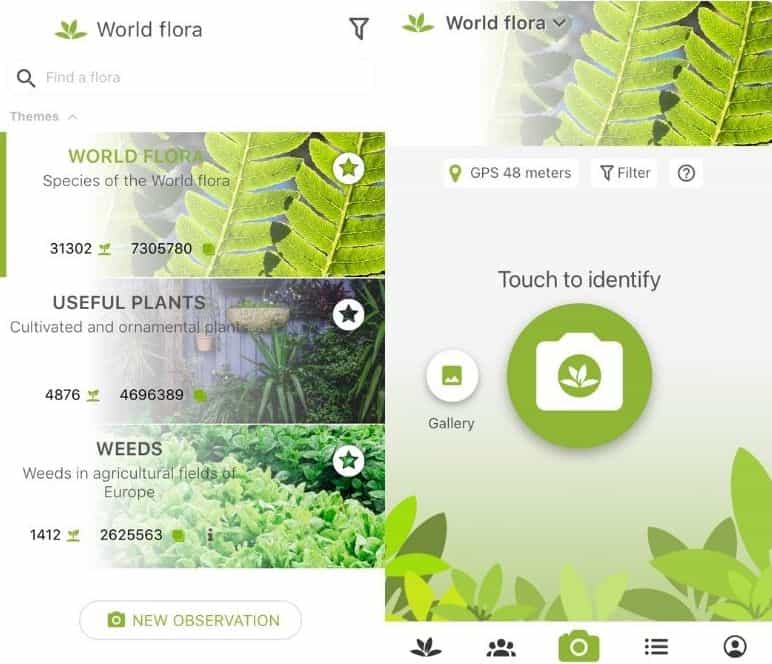 App per riconoscere piante PlantNet