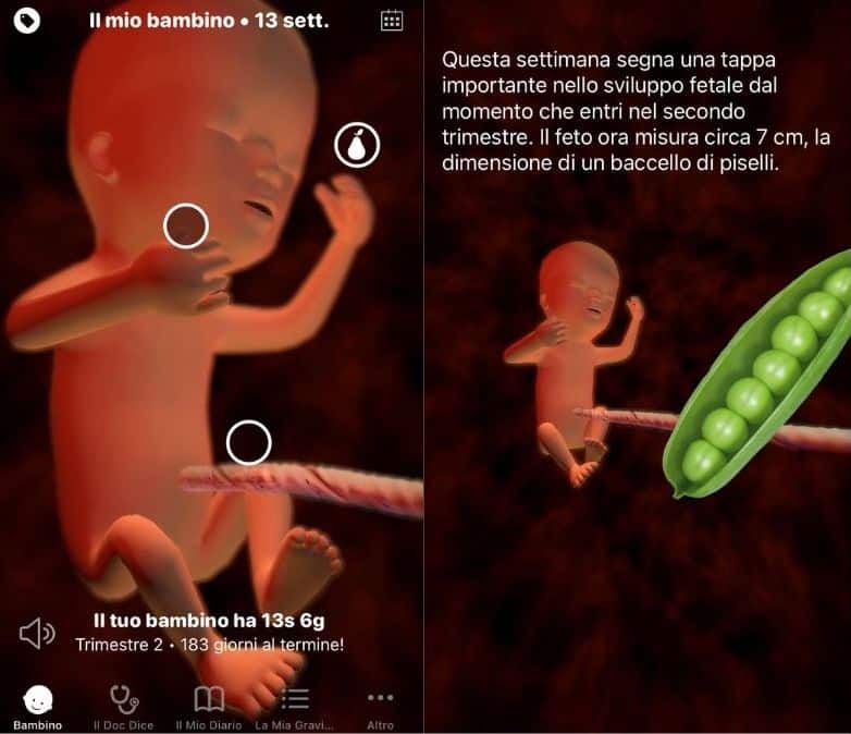 Sprout app gravidanza gratis