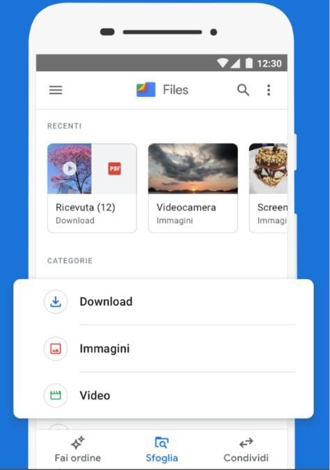 Sfogliare i file su Files di Google
